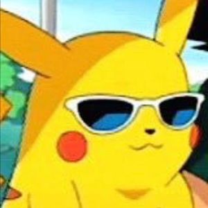 Meet your Posher, Chase